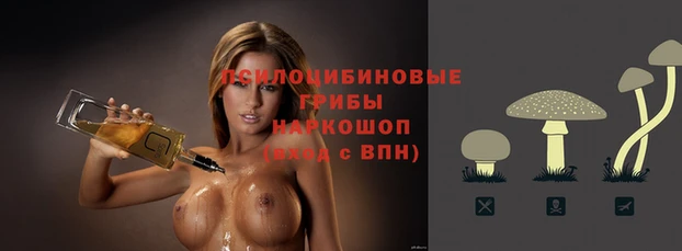 jwh Белокуриха