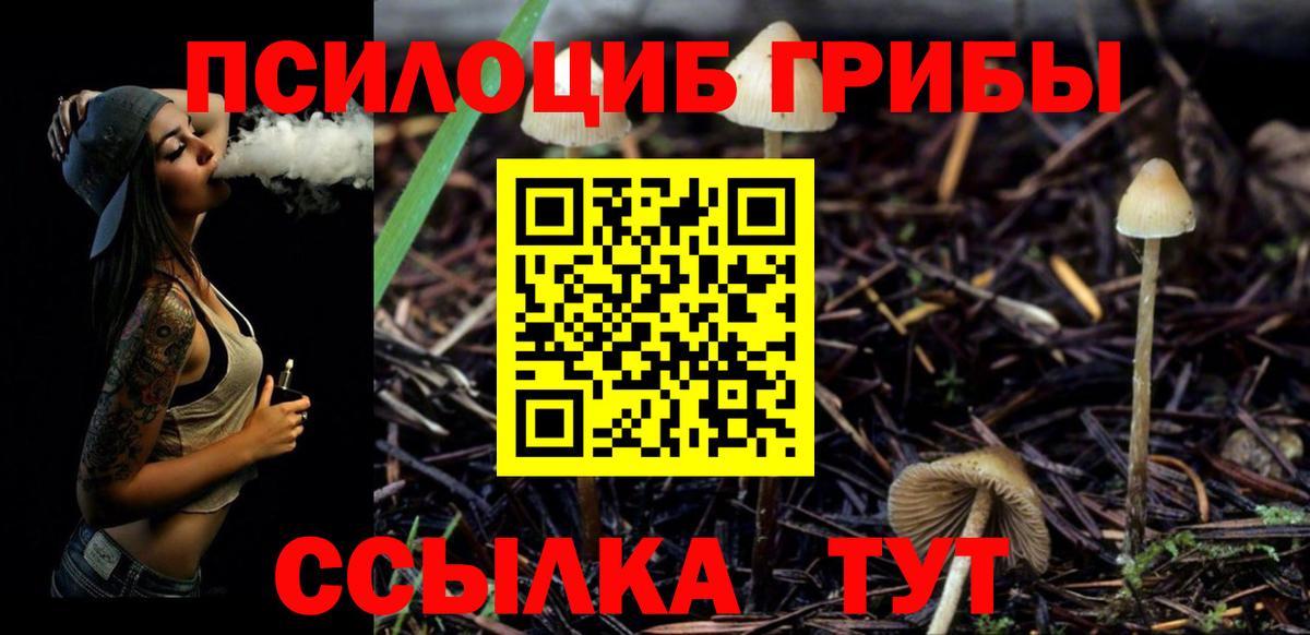 Псилоцибиновые грибы MAGIC MUSHROOMS Малоярославец