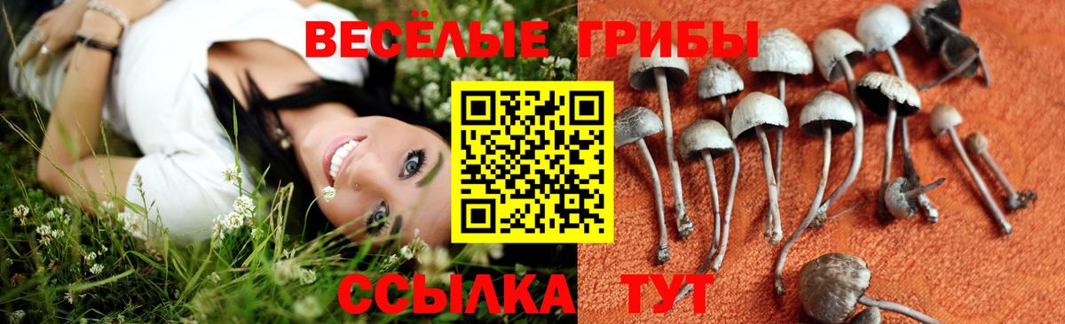Псилоцибиновые грибы GOLDEN TEACHER  наркота  Малоярославец  Псилоцибиновые грибы ЛСД  Вход с VPN 